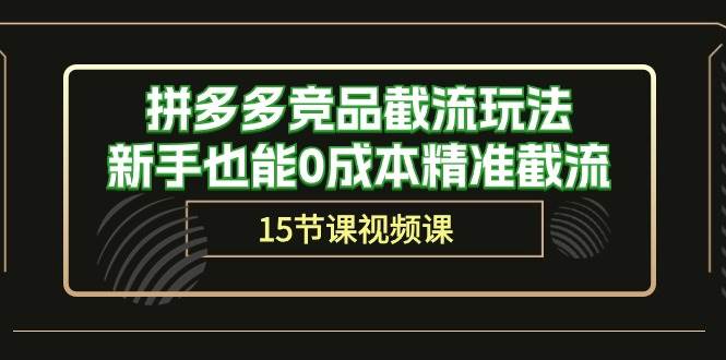 拼多多竞品截流玩法，新手也能0成本精准截流（15节课）-蓝海无涯