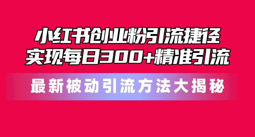 小红书创业粉引流捷径！最新被动引流方法大揭秘，实现每日300+精准引流-蓝海无涯