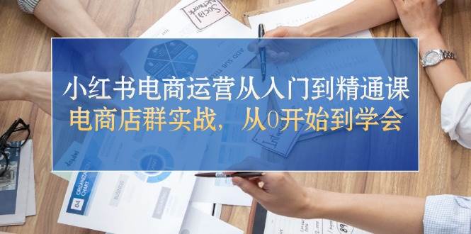 小红书电商运营从入门到精通课，电商店群实战，从0开始到学会-蓝海无涯