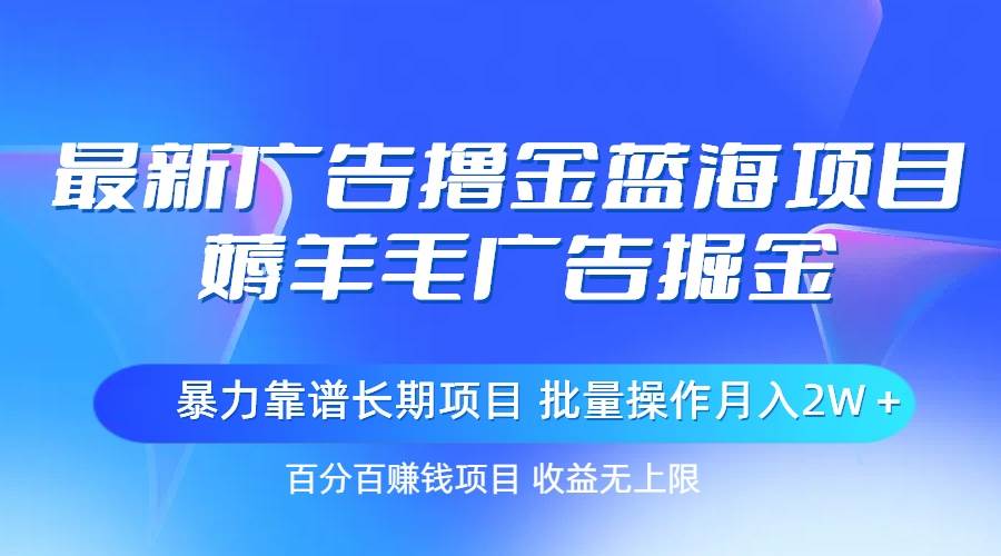 最新广告撸金蓝海项目，薅羊毛广告掘金 长期项目 批量操作月入2W＋-蓝海无涯