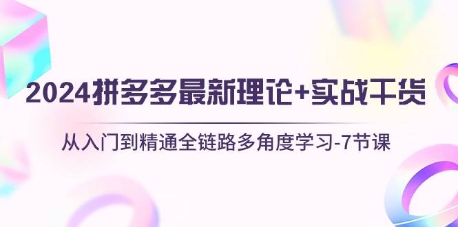 2024拼多多 最新理论+实战干货，从入门到精通全链路多角度学习-7节课-蓝海无涯