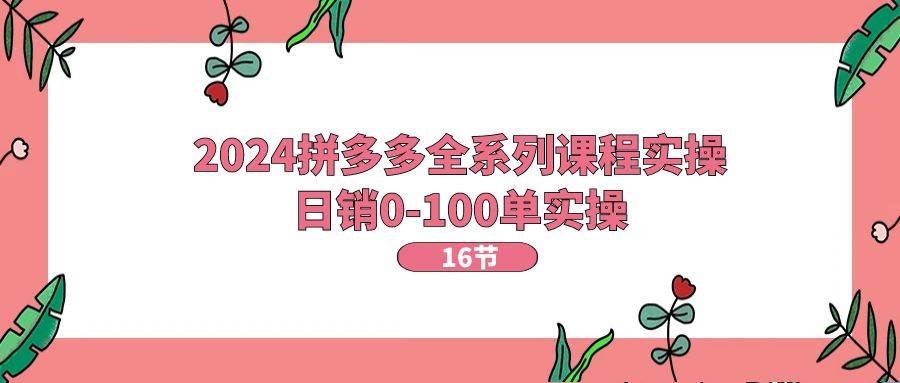 2024拼多多全系列课程实操，日销0-100单实操【16节课】-蓝海无涯