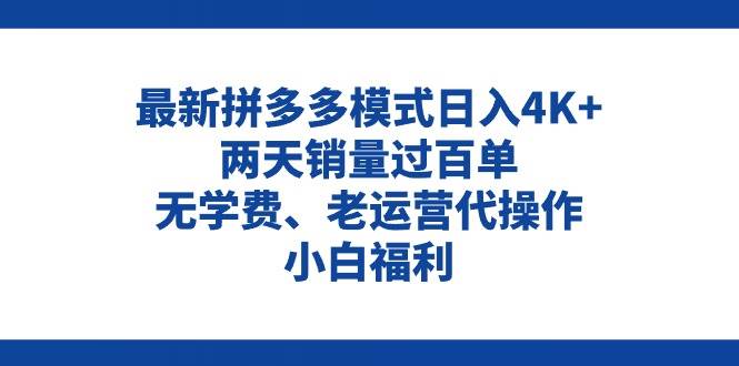 拼多多最新模式日入4K+两天销量过百单，无学费、老运营代操作、小白福利-蓝海无涯