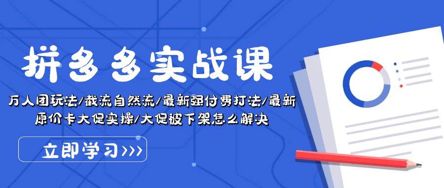 拼多多·实战课：万人团玩法/截流自然流/最新强付费打法/最新原价卡大促..-蓝海无涯