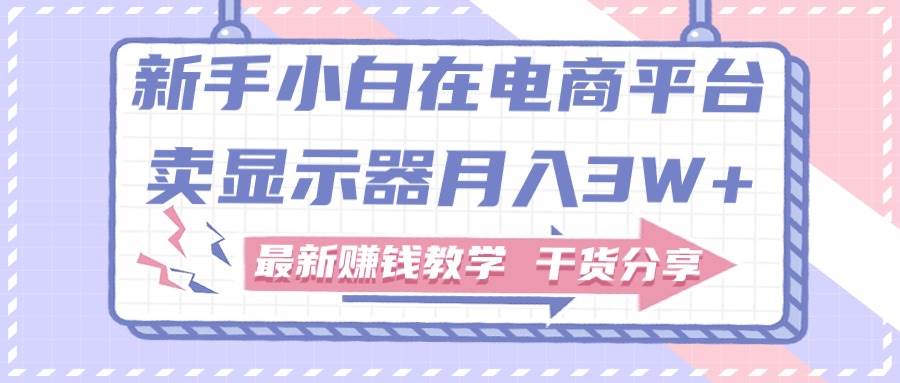 新手小白如何做到在电商平台卖显示器月入3W+，最新赚钱教学干货分享-蓝海无涯