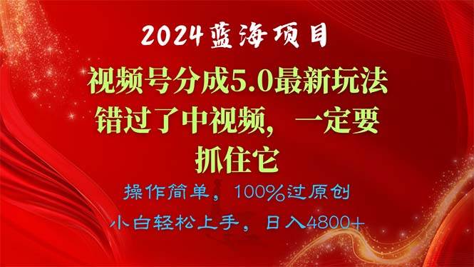 2024蓝海项目，视频号分成计划5.0最新玩法，错过了中视频，一定要抓住…-蓝海无涯