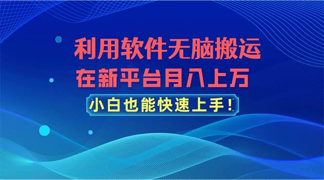 利用软件无脑搬运，在新平台月入上万，小白也能快速上手-蓝海无涯