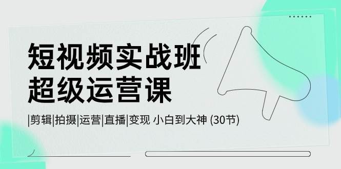 短视频实战班-超级运营课，|剪辑|拍摄|运营|直播|变现 小白到大神 (30节)-蓝海无涯