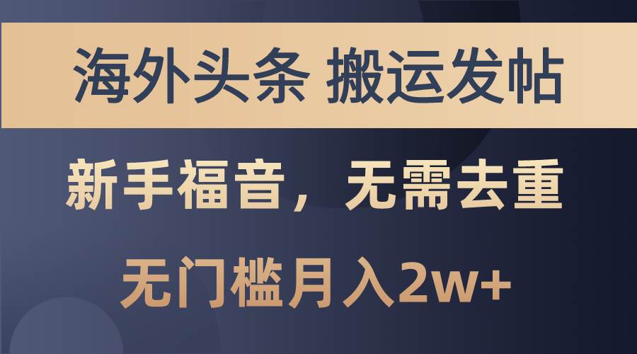 海外头条搬运发帖，新手福音，甚至无需去重，无门槛月入2w+-蓝海无涯