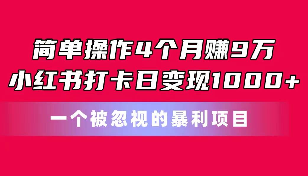 简单操作4个月赚9万！小红书打卡日变现1000+！一个被忽视的暴力项目-蓝海无涯