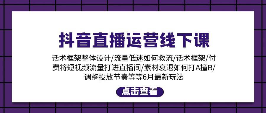 抖音直播运营线下课：话术框架/付费流量直播间/素材A撞B/等6月新玩法-蓝海无涯