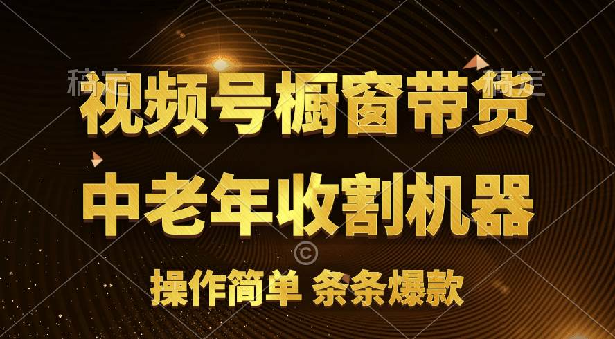 [你的孩子成功取得高位]视频号最火爆赛道，橱窗带货，流量分成计划，条…-蓝海无涯