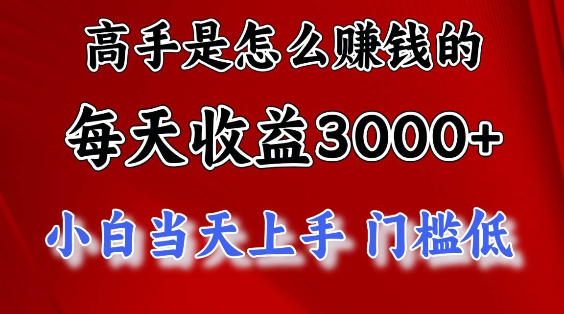 高手是怎么赚钱的，一天收益3000+ 这是穷人逆风翻盘的一个项目，非常…-蓝海无涯