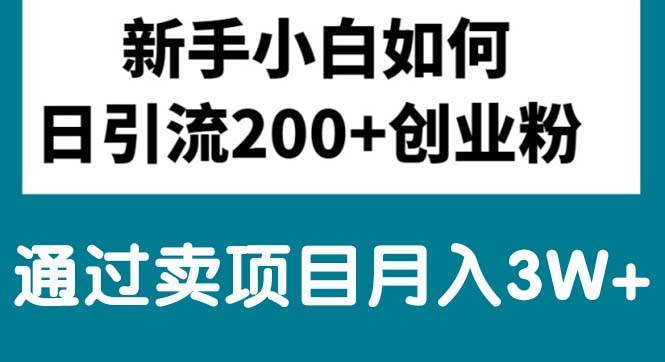 新手小白日引流200+创业粉,通过卖项目月入3W+-蓝海无涯