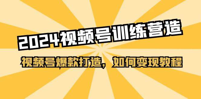 2024视频号训练营，视频号爆款打造，如何变现教程（20节课）-蓝海无涯