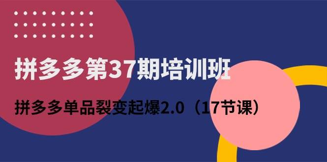 拼多多第37期培训班：拼多多单品裂变起爆2.0（17节课）-蓝海无涯