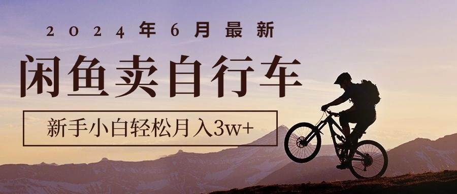 2024年6月最新闲鱼卖自行车，新手小白轻松月入3w+项目-蓝海无涯