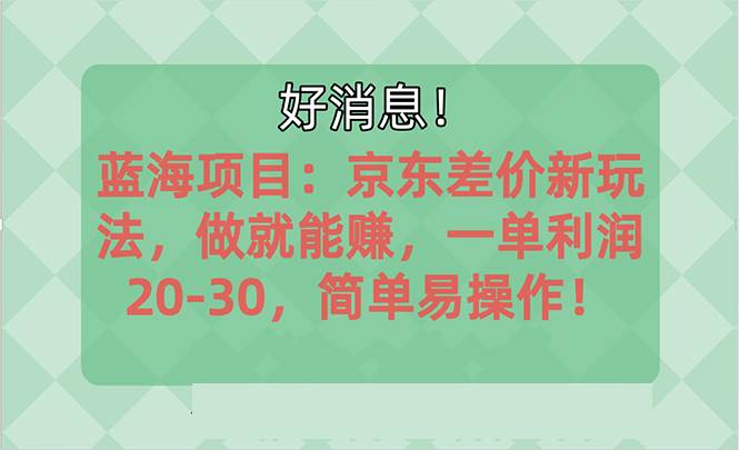 越早知道越能赚到钱的蓝海项目：京东大平台操作，一单利润20-30，简单…-蓝海无涯