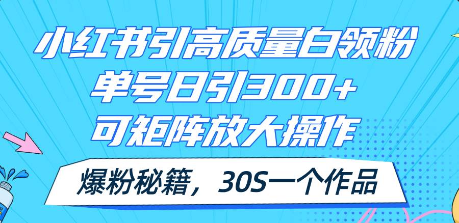 小红书引高质量白领粉，单号日引300+，可放大操作，爆粉秘籍！30s一个作品-蓝海无涯