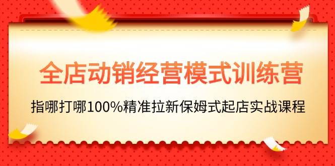 全店动销-经营模式训练营，指哪打哪100%精准拉新保姆式起店实战课程-蓝海无涯