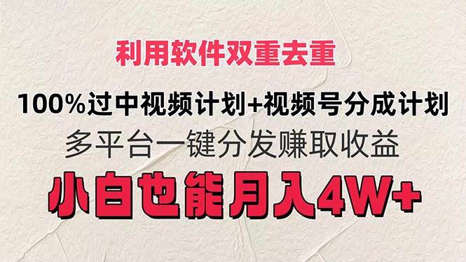 利用软件双重去重，100%过中视频+视频号分成计划小白也可以月入4W+-蓝海无涯