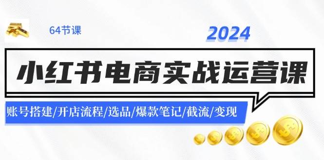 2024小红书电商实战运营课：账号搭建/开店流程/选品/爆款笔记/截流/变现-蓝海无涯