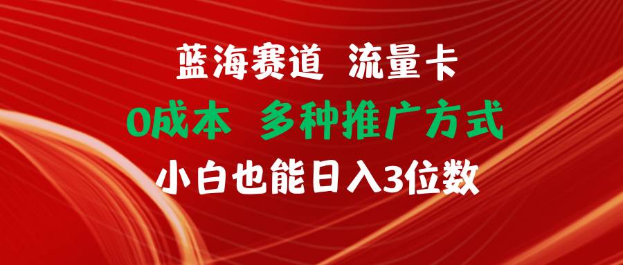 蓝海赛道 流量卡 0成本 小白也能日入三位数-蓝海无涯