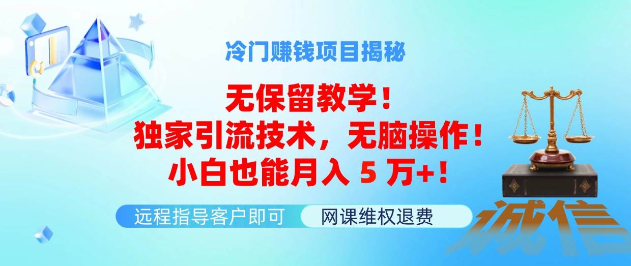 冷门赚钱项目无保留教学！独家引流技术，无脑操作！小白也能月入5万+！-蓝海无涯