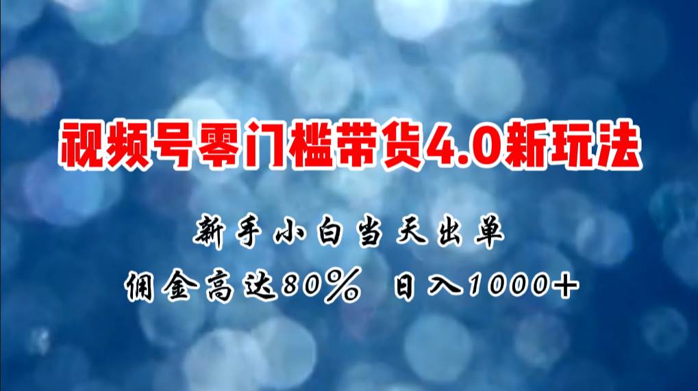 微信视频号零门槛带货4.0新玩法，新手小白当天见收益，日入1000+-蓝海无涯