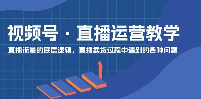 视频号 直播运营教学：直播流量的底层逻辑，直播卖货过程中遇到的各种问题-蓝海无涯