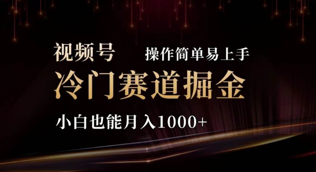 2024视频号冷门赛道掘金，操作简单轻松上手，小白也能月入1000+-蓝海无涯