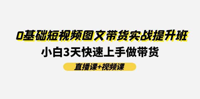 0基础短视频图文带货实战提升班(直播课+视频课)：小白3天快速上手做带货-蓝海无涯