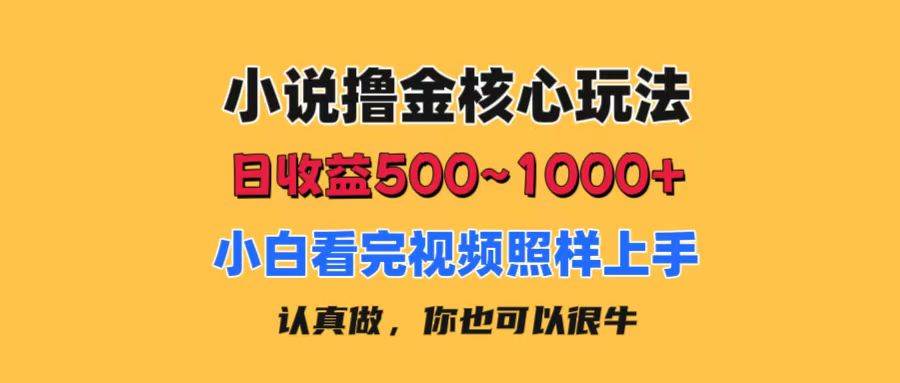 小说撸金核心玩法，日收益500-1000+，小白看完照样上手，0成本有手就行-蓝海无涯