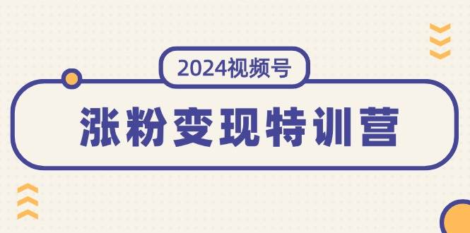 图片[1]-2024视频号-涨粉变现特训营：一站式打造稳定视频号涨粉变现模式（10节）-蓝海无涯