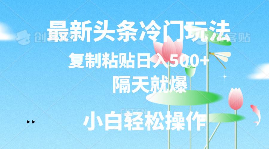 最新头条冷门玩法，隔天就爆，复制粘贴日入500+-蓝海无涯