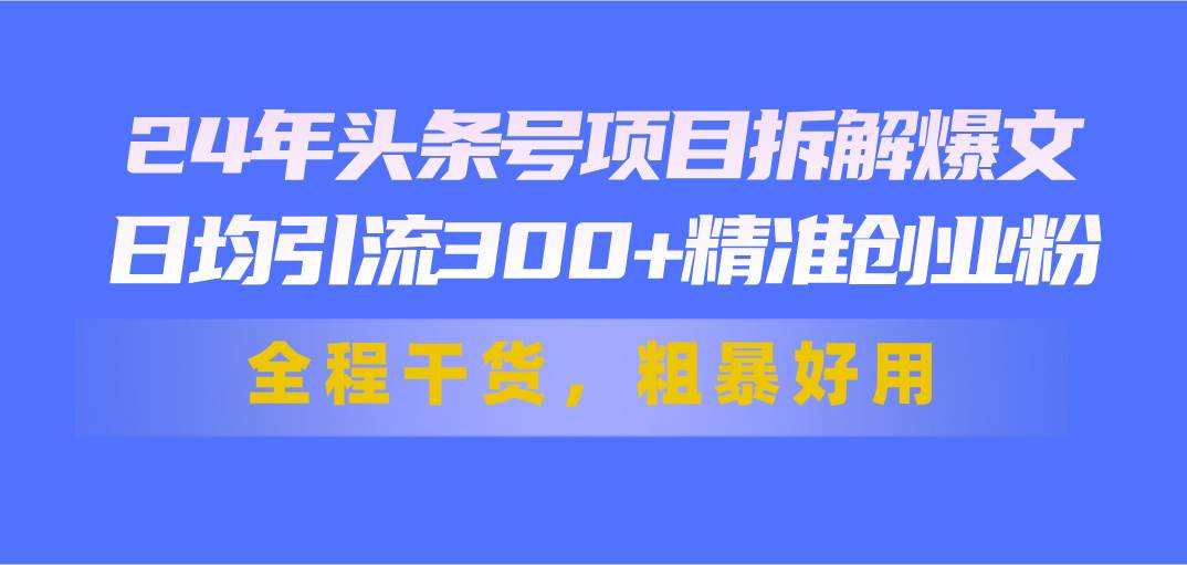 24年头条号项目拆解爆文，日均引流300+精准创业粉，全程干货，粗暴好用-蓝海无涯