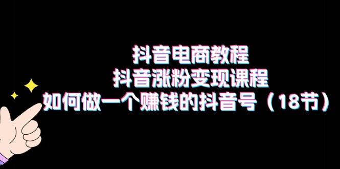 抖音电商教程：抖音涨粉变现课程：如何做一个赚钱的抖音号（18节）-蓝海无涯