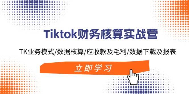 Tiktok财务核算实战营：TK业务模式/数据核算/应收款及毛利/数据下载及报表-蓝海无涯