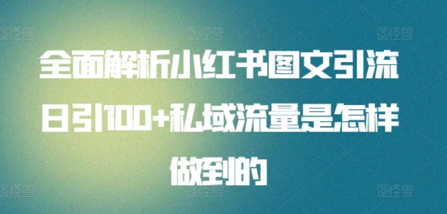 全面解析小红书图文引流日引100私域流量是怎样做到的-蓝海无涯