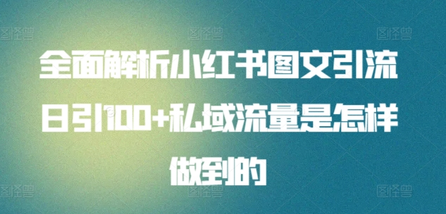 日引流100私域流量小红书图文是怎样做到的全面解析-蓝海无涯