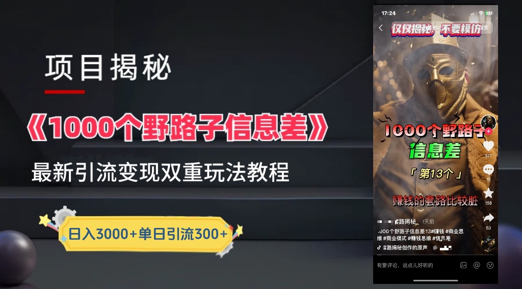 一千个野路子信息差24年最新玩法教程附带变现方法和引流的玩法具体拆解-蓝海无涯