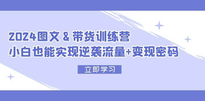 2024 图文+带货训练营，小白也能实现逆袭流量+变现密码-蓝海无涯