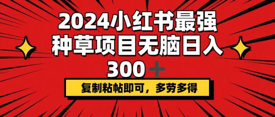 2024小红书最强种草项目，无脑日入300+，复制粘帖即可，多劳多得-蓝海无涯