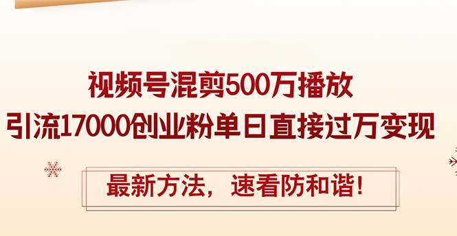 精华帖视频号混剪500万播放引流17000创业粉，单日直接过万变现，最新方…-蓝海无涯