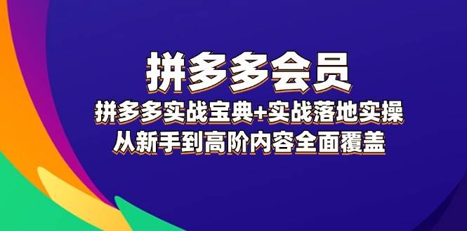 拼多多 会员，拼多多实战宝典+实战落地实操，从新手到高阶内容全面覆盖-蓝海无涯