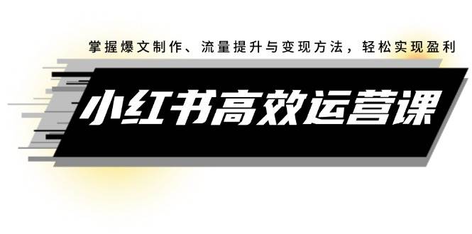 小红书高效运营课：掌握爆文制作、流量提升与变现方法，轻松实现盈利-蓝海无涯