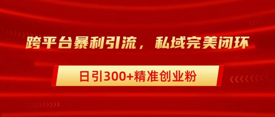 跨平台暴力引流，私域完美闭环，日引300+精准创业粉-蓝海无涯