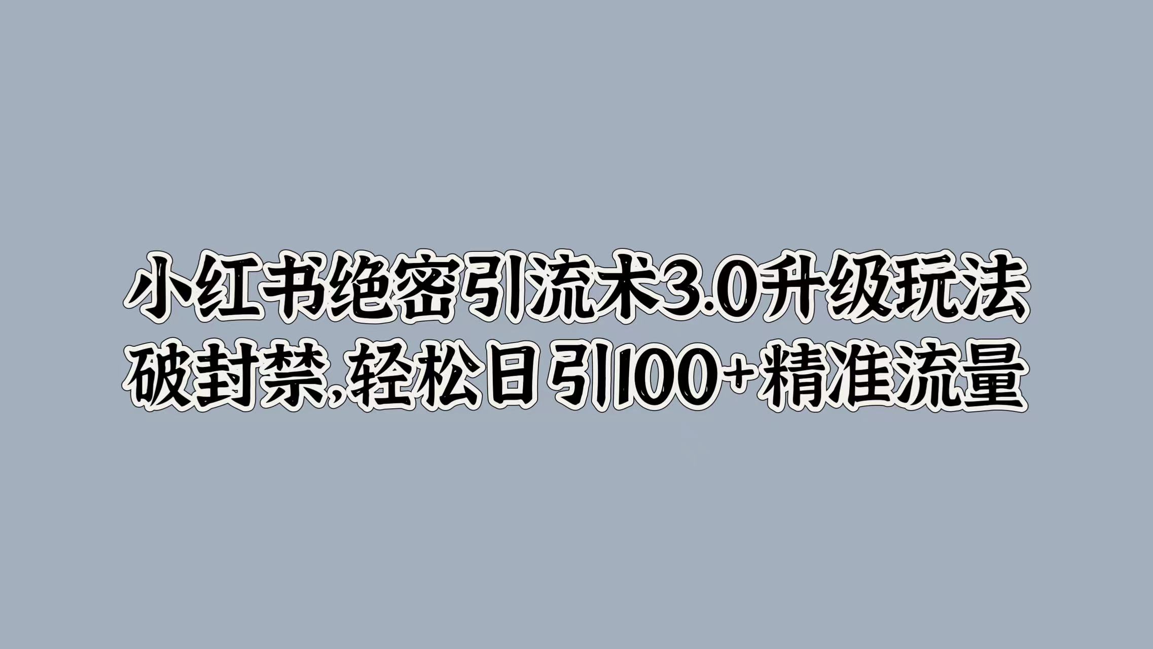 小红书绝密引流术3.0升级玩法，破封禁，轻松日引100+精准流量-蓝海无涯