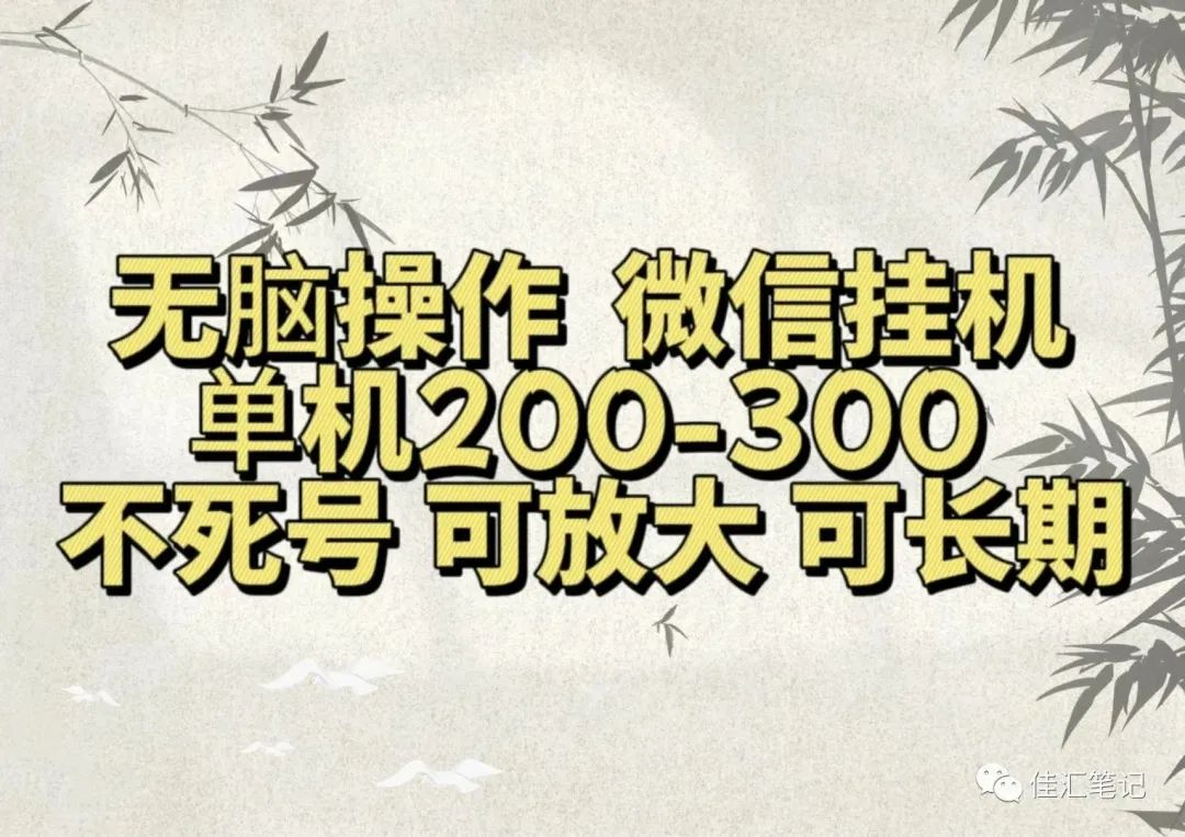 无脑操作微信视频号挂机单机200-300一天，不死号，可放大，工作室实测-蓝海无涯