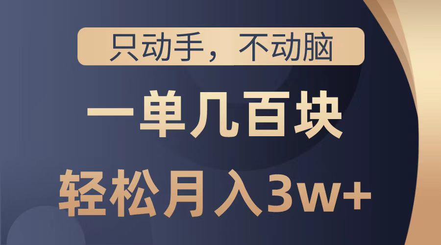 只动手不动脑，一单几百块，轻松月入2w+，看完就能直接操作，详细教程-蓝海无涯